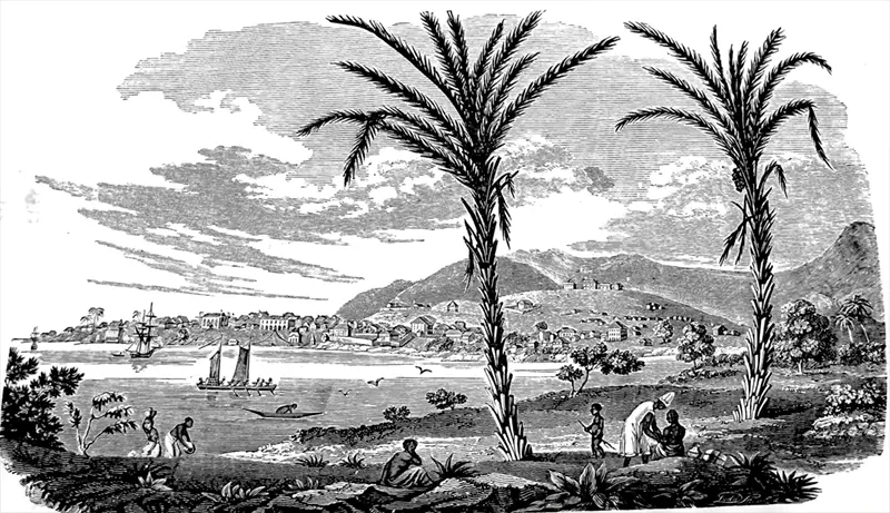 [Figure 2] View of Freetown from King Tom's point, across the bay (Missionary Register 1830, p. 287)